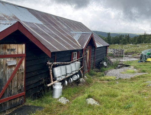 Sommerliv på den norske sæter