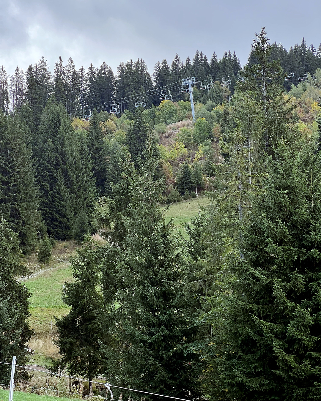 Jura